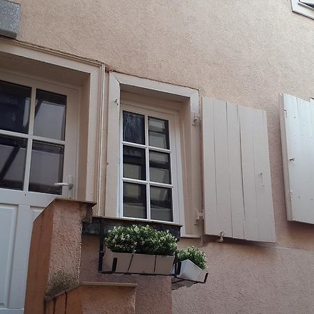 Colmar City Center Little Venise - Gite De Lea - Exterior foto